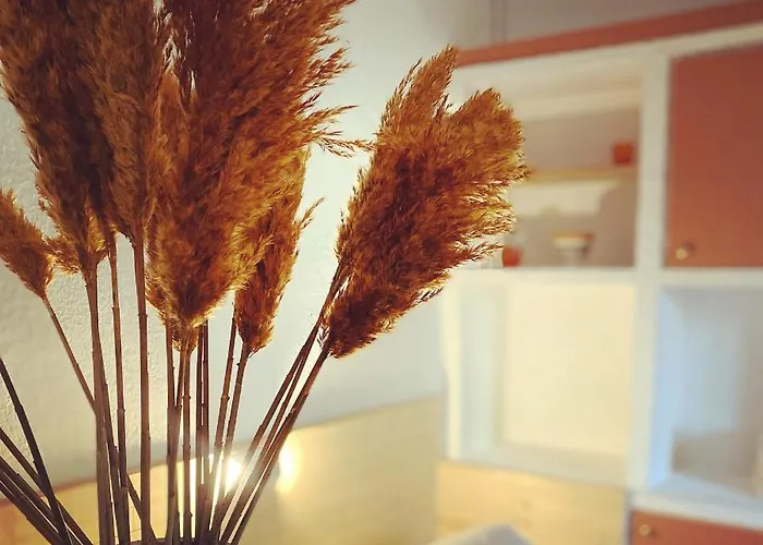 Hotel Studio St Raph