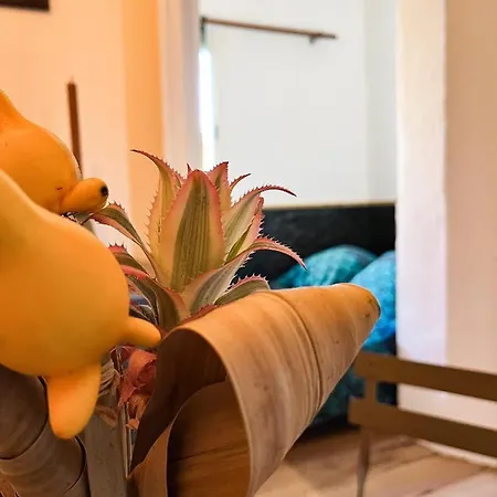 Studio St Raph Сен-Рафаэль