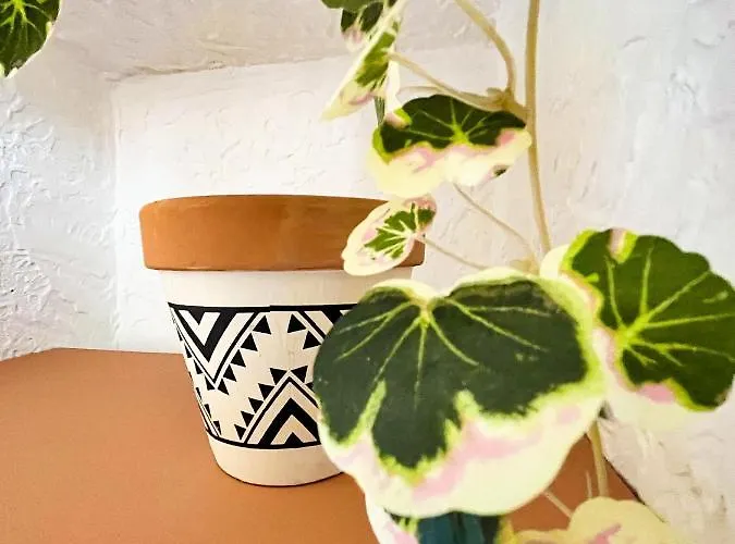 Studio St Raph Отель *