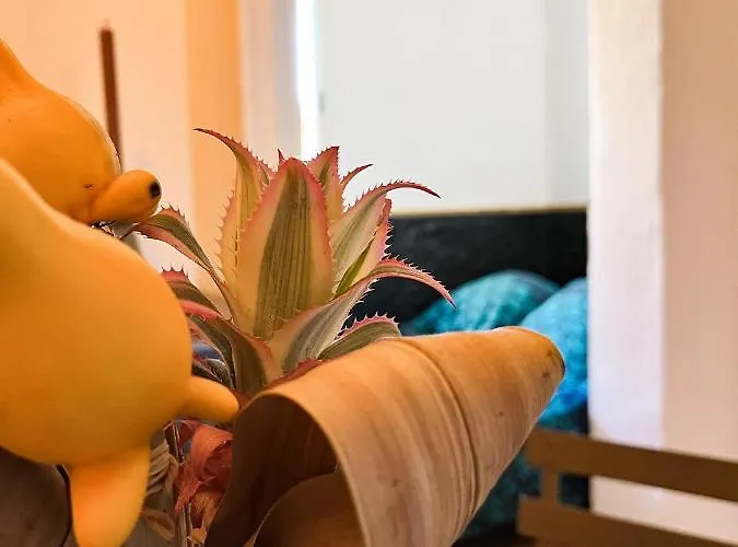 Studio St Raph Saint-Raphaël